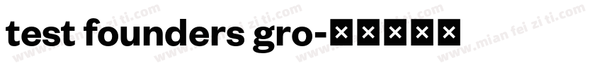 test founders gro字体转换